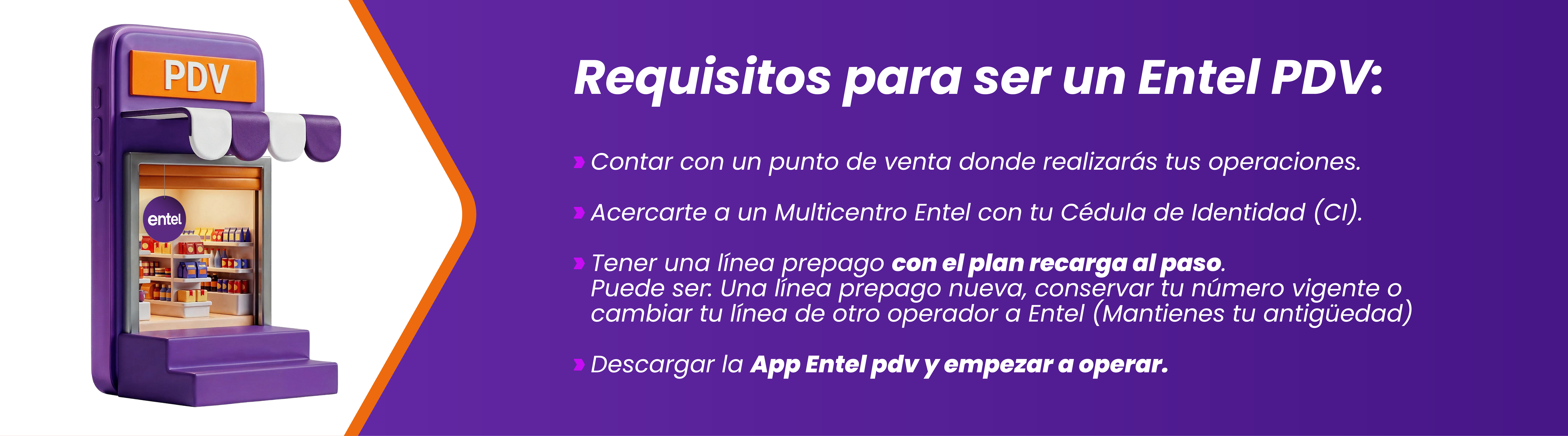 Distribuidor Entel - 3